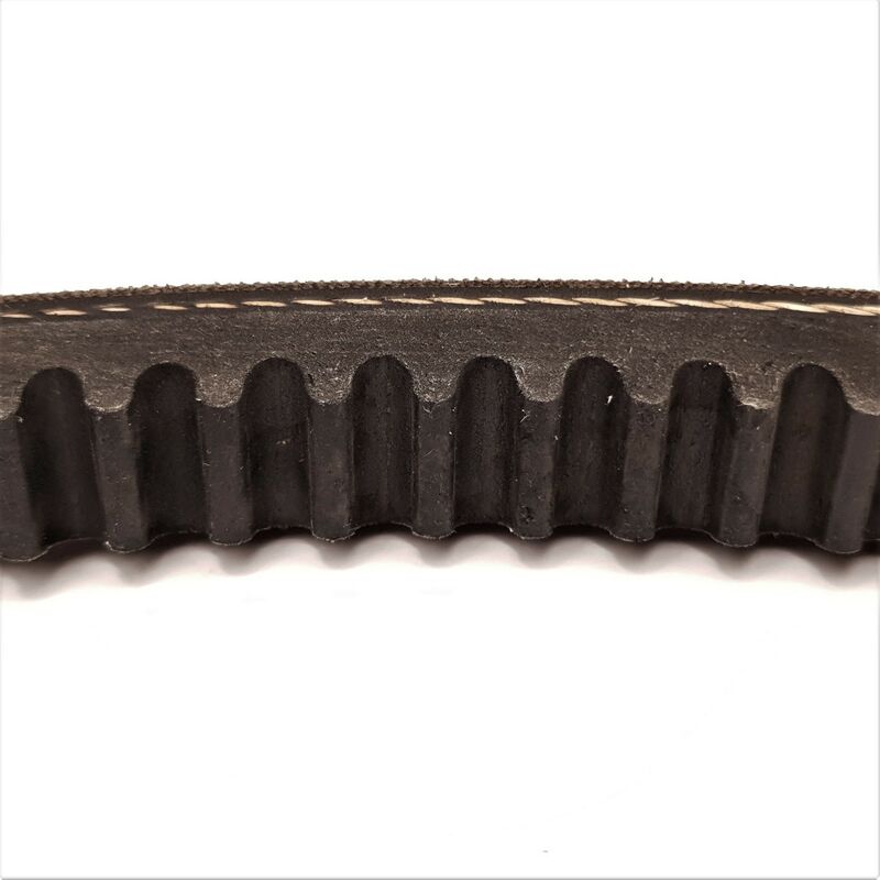 Cinghie Di Distribuzione Poly-v Classiche 7PJ490 - Foto 10