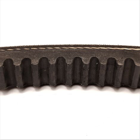 Cinghie Di Distribuzione Poly-v Classiche 7PJ490 - Foto 5