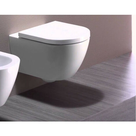 Water Pura sospeso senza brida cm. 50x36 bianco lucido di