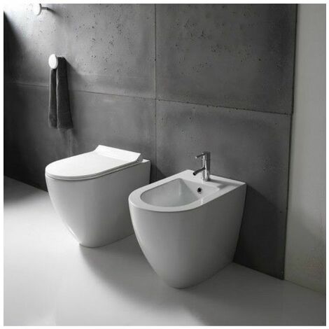 Sanitari Dream filomuro scarico traslato cm. 56x36 con sedile (1/3)