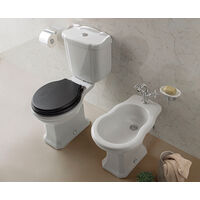 Sanitari Paestum monoblocco cm. 67x38 con sedile in