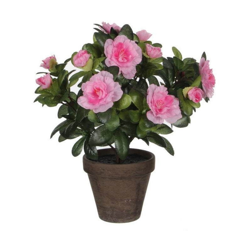 AZALEA ROSA 27CM MACETA