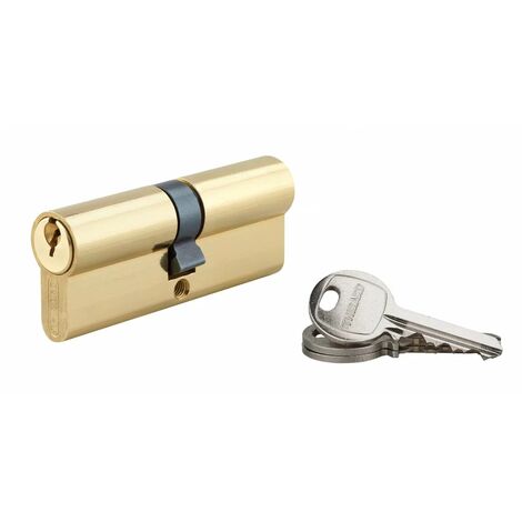 Cylindre de porte 40 x 30 mm BRICARD MEDIAL Barillet haute sécurité 4 clés  et carte