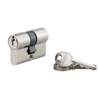 Thirard – Cylindre de serrure cranté 21 x 21 mm nickelé – Mécanisme à 5 goupilles – Panneton anti-arrachement – 3 clés en acier nickelé