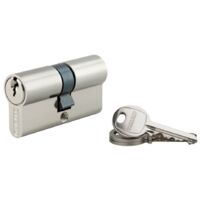 Thirard – Cylindre de serrure 30 x 30 mm – Laiton nickelé – Mécanisme à 5 goupilles – Panneton anti-arrachement – 3 clés fournies