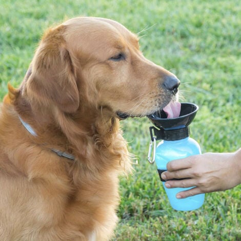 Abreuvoir portable pour animaux de compagnie INNOVAGOODS - talla