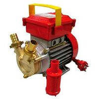 Pompe de transfert Champion ROVER 20-CE - talla