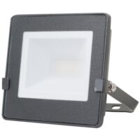 Foco proyector exterior LED DUOLEC Star Line 4000K 10W 800 lm - talla