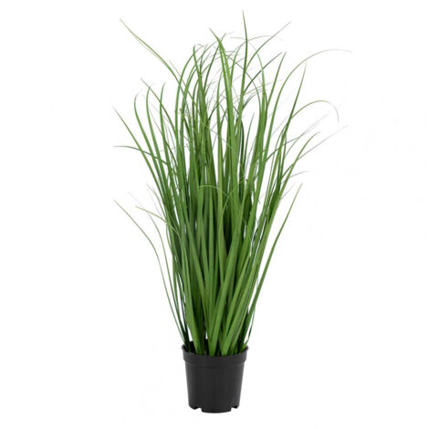 POANA - Pâturin Décoratif Artificiel Hauteur 68cm (1/4)
