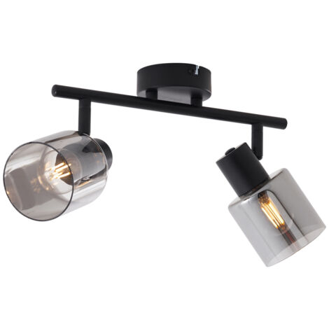 Modern Ceiling Light Black with Round Smoke Glass 2-Light - Cilin