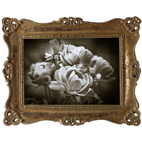 Cornice portafoto 18x23 cm - Rose