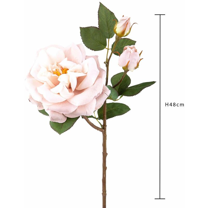 Set 4 Rose Artificiali Inglese H 48 cm
