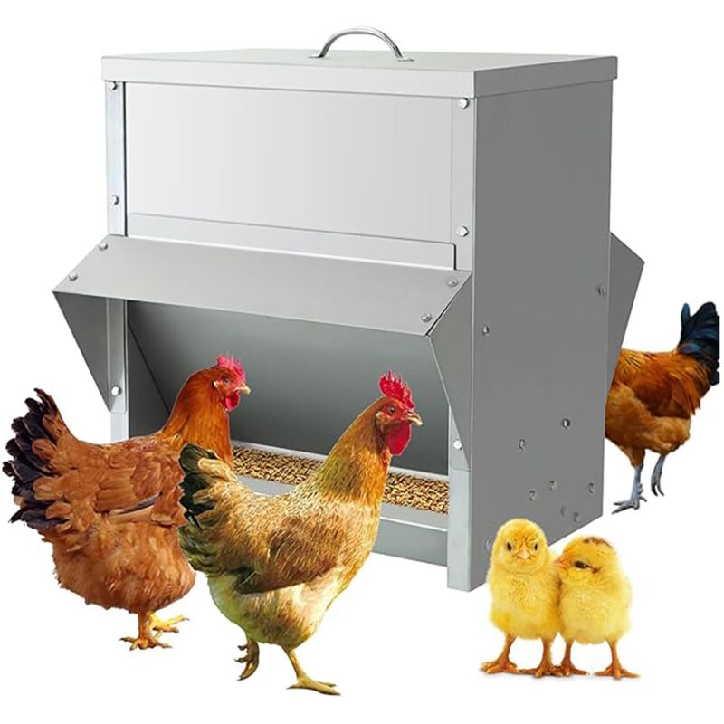 Mangiatoia per galline antitopo al miglior prezzo | Leroy Merlin