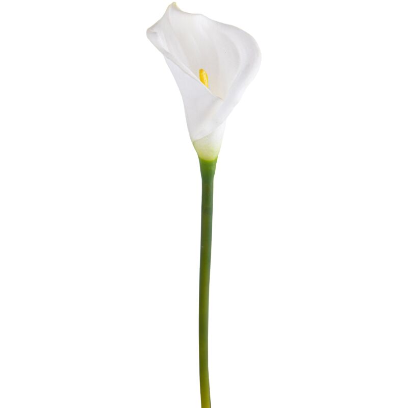 Set 6 Fiori Artificiali di Calla Semi Aperta Altezza 66 cm Bianco