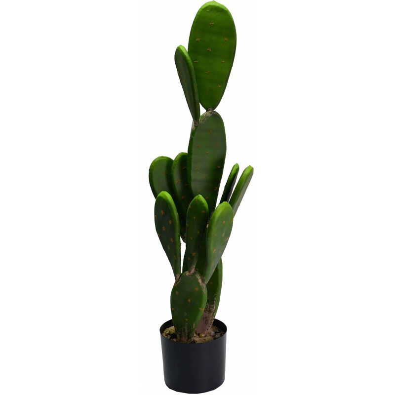 Pianta cactus con vaso tondo cm Ø14xh84
