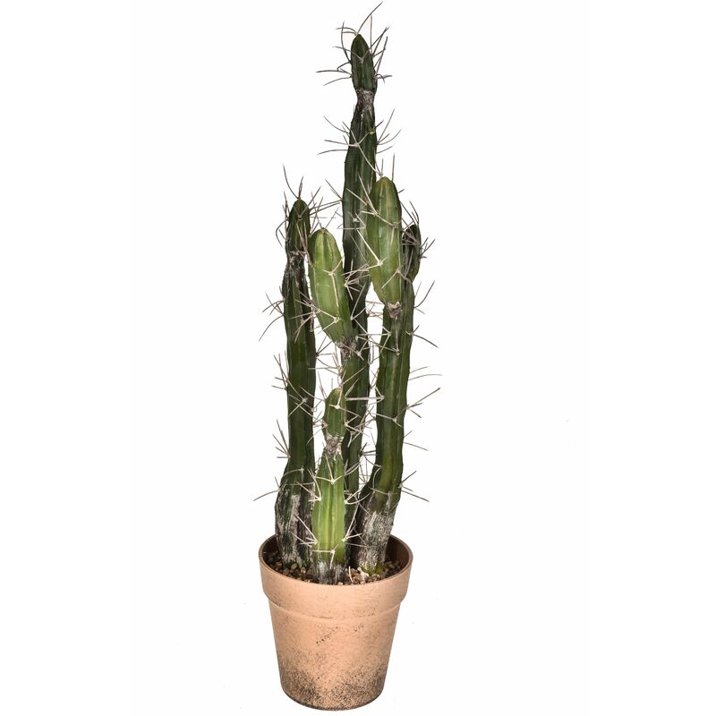 Set di 6 mini piante finte di cactus artificiali in vasi di