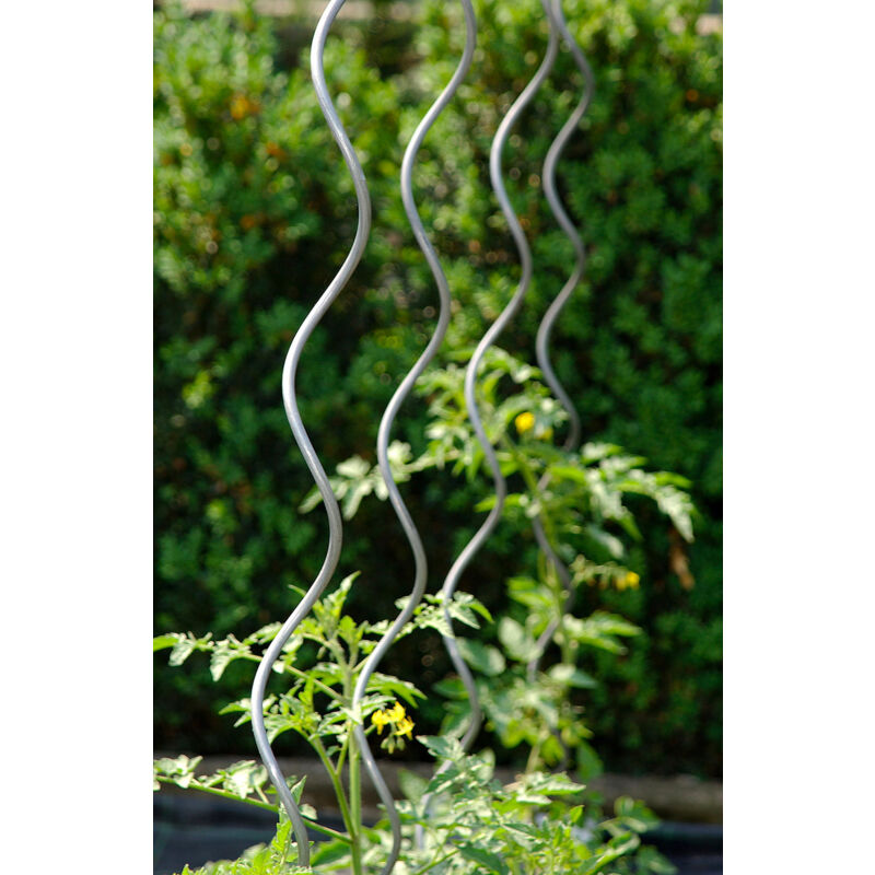 Aste A Spirale Per Pomodori 150cm - Set Da 10 Supporti In Acciaio Zincato Per Piante Rampicanti - 2