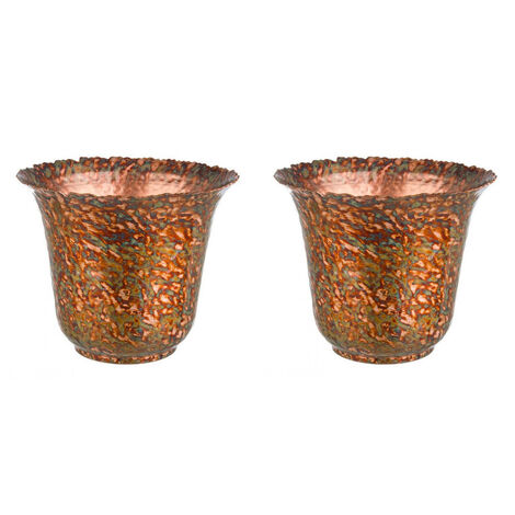 Colibrì Verdi Rhipsalis Set di 2 piante in vasi decorativi