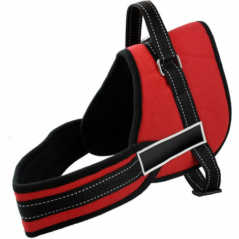 Collari, Pettorine E Guinzagli Per Cani 🐕 | Pet Products - Foto 7