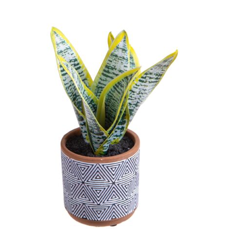 Spetebo – Set Da 4 Piante Artificiali In Vaso Bianco, Alte 17 Cm, Decorazione Da Tavolo