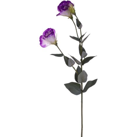 Fiori e Piante ® | ® Shop ufficiale IT