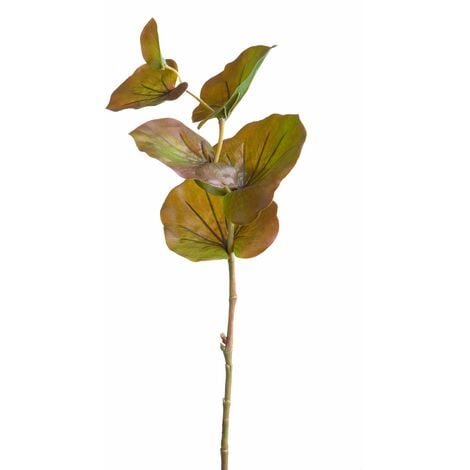 Set 9 Rami di Kalanchoe Artificiale Altezza 74 cm Marrone