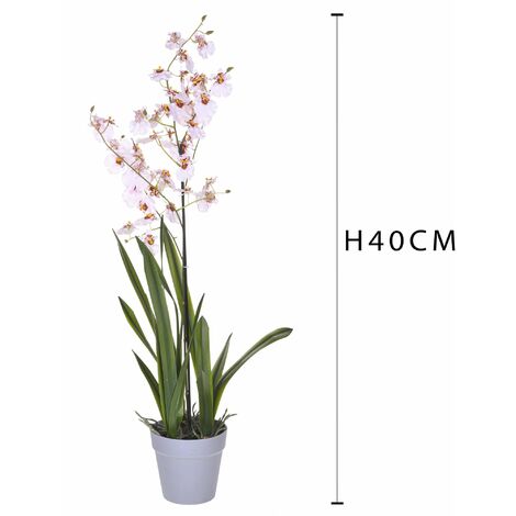 Vaso per Orchidee,12 Pezzi Vasi per Orchidee,Vaso Orchidee con