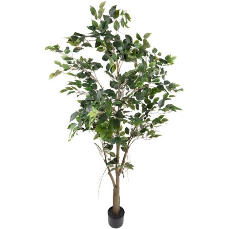 Ficus Benjamin Artificiale 180cm - Pianta Finta Con Tronco In Legno Naturale Per Interni - Foto 6