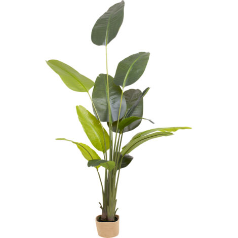 Traveller Banana 210 - Plante artificielle décorative de bananier tropical H210 cm pour l'intérieur et l'extérieur avec pot Beige