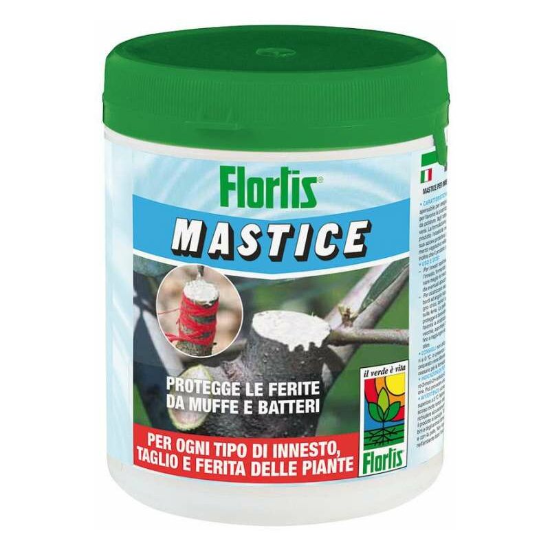 Mastmix Mastice Cicatrizzante 500g