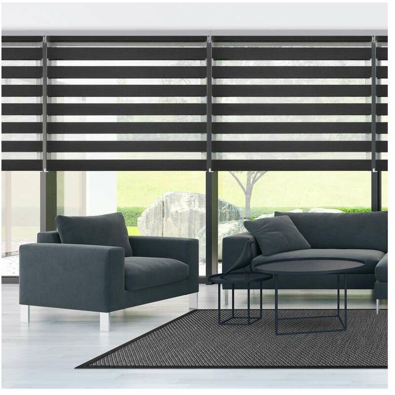 VOUNOT Tenda a Rullo Doppia Strato Oscurante Giorno e Notte, Catenella  Laterale, Tenda Interno Zebra Blinds