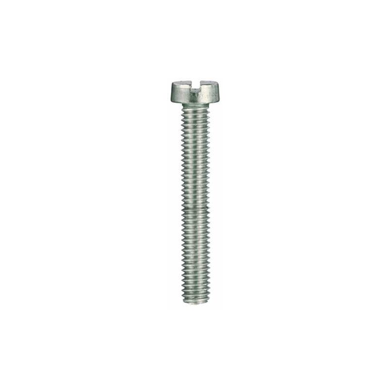 Viti per metallo testa cilindrica Inox A2 - 3 x 25 - 20 pz.