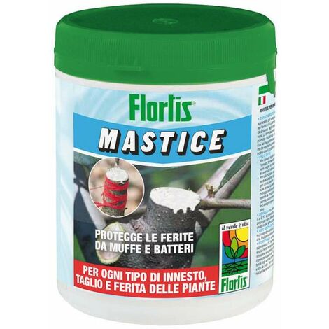 Mastmix Mastice Cicatrizzante 500g