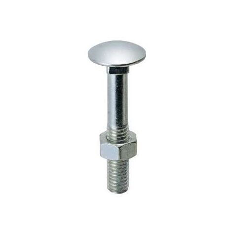 Viti Testa Tonda Con Quadro Sottotesta (Ttq) Zincate Mm.6X70
