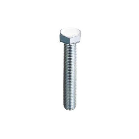 Viti Metriche Inox Testa Esagonale Mm.8X60