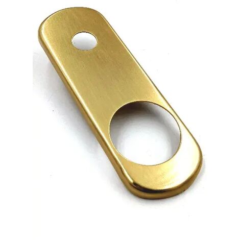 Placca Ghibli Ottone Lucido Protettore