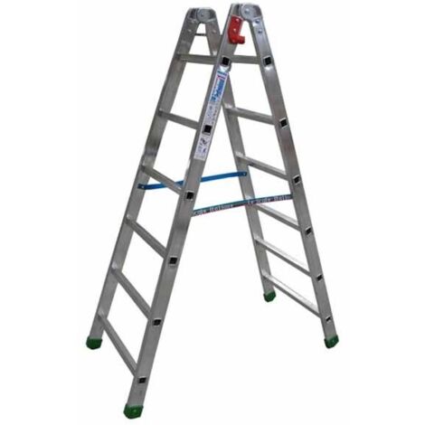 Scala All Doppia Salita Professional 1 Gradini 6 Facal