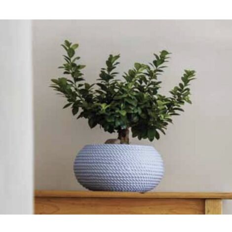 Ciotola Bali Ciocord Vaso Portavaso effetto corda 51xH25 in resina vari colori - Colore: Polvere