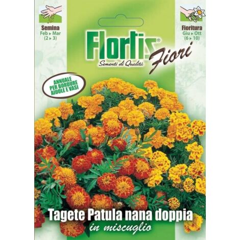 TAGETE NANA PATULA DOPPIA MIX
