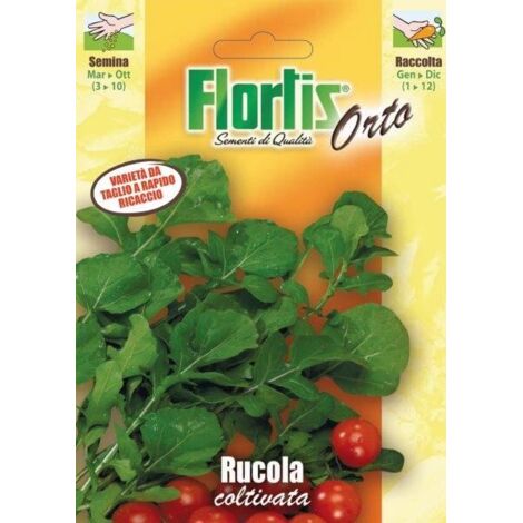 RUCOLA COLTIVATA