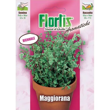 FLORTIS Maggiorana (1/2)