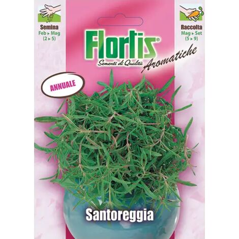 Semi di Santoreggia in busta