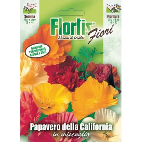 Papavero Escholtzia Cal. Mix