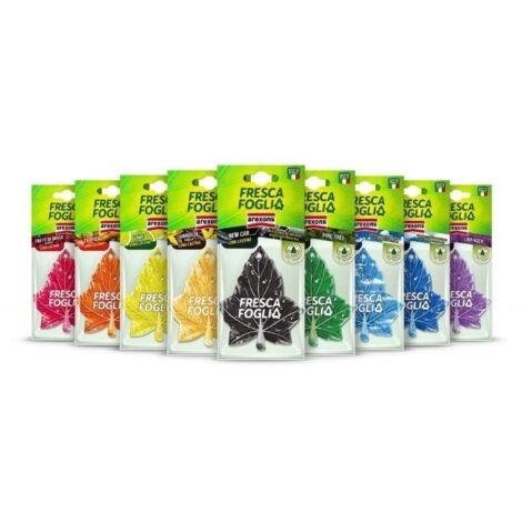 Profumatore auto Arexons fresca foglia fresca pino antifumo