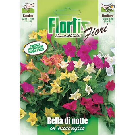 BELLA DI NOTTE MIX