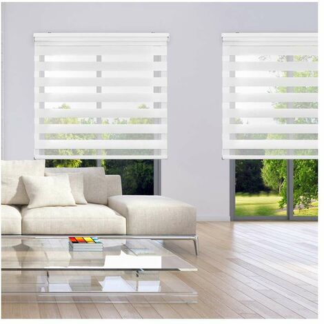 VOUNOT Tenda a Rullo Doppia Strato Oscurante Giorno e Notte, Catenella  Laterale, Tenda Interno Zebra Blinds