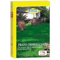 Prato Ombreggiato 1000 g