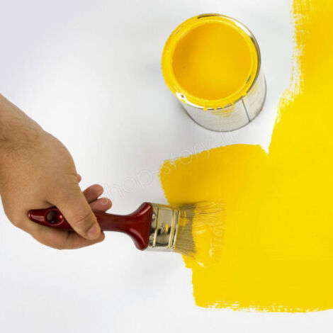 PAINTSET : Set de 5 Pinceaux Synthétiques Plats pour Peintures à Base d'Eau (1/5)