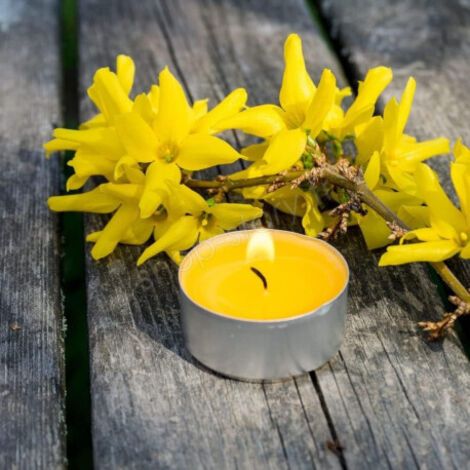 Lot de 9 Bougies Anti-Moustique à la Citronnelle – Extérieur