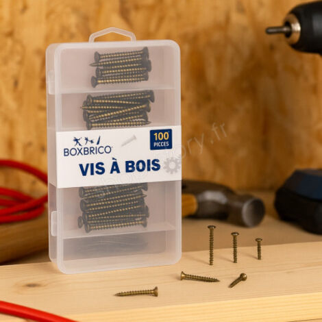 Lot de 100 Vis à Bois – 5 Tailles pour Bricolage & Menuiserie (1/5)